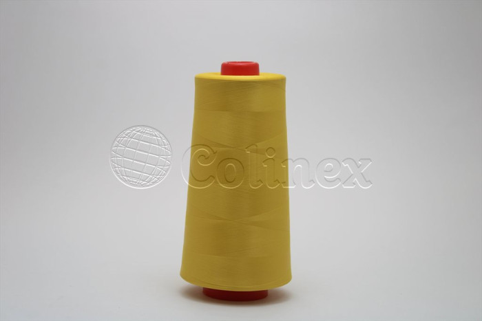 Fio BOTEX 100% poly.text.150 cor 5162 17.000mts